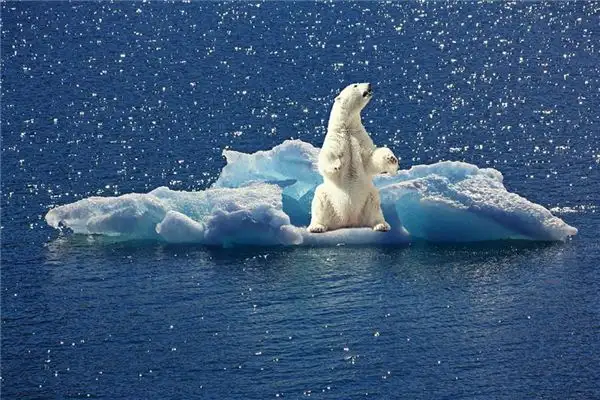 Dream Interpretation of Floating Ice in Dreams - NuvoraDream