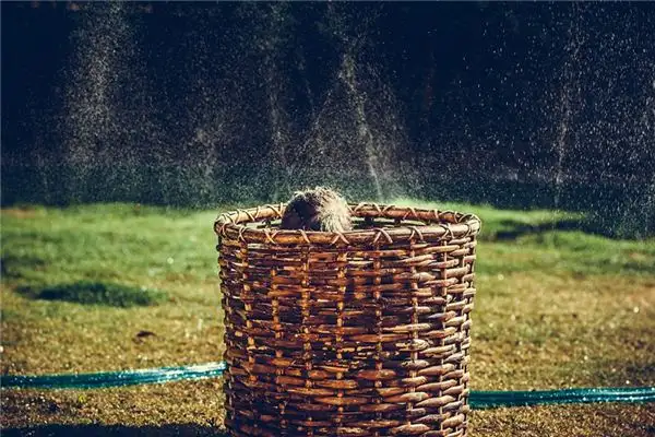 Dream Interpretation of Playing Hide and Seek in Your Sleep-DreamDecode