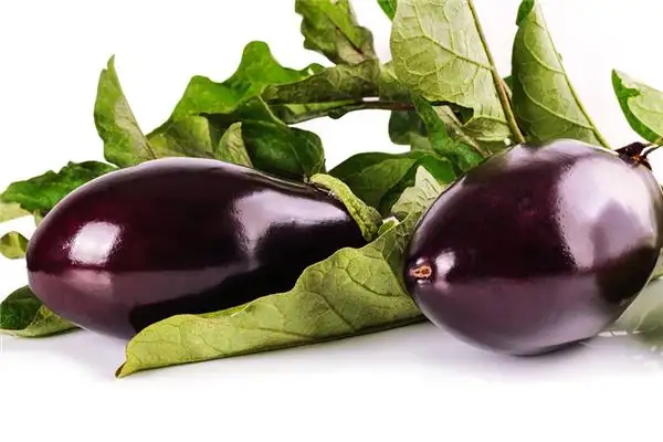 Dreaming of Eggplant Meaning and Interpretation - NuvoraDream-DreamDecode