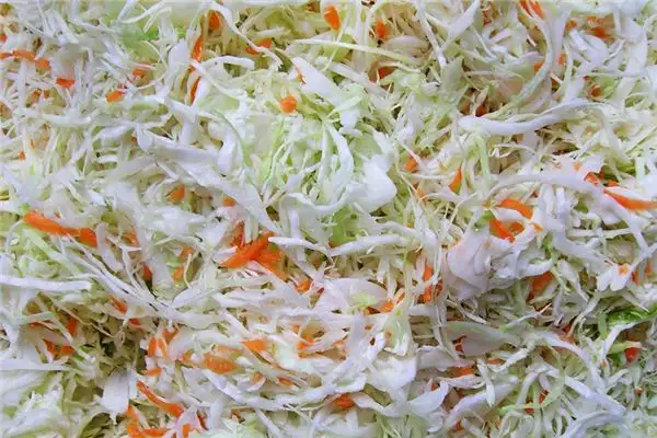 Dream of Pickled Cabbage Meaning and Interpretation - DreamDecode-DreamDecode