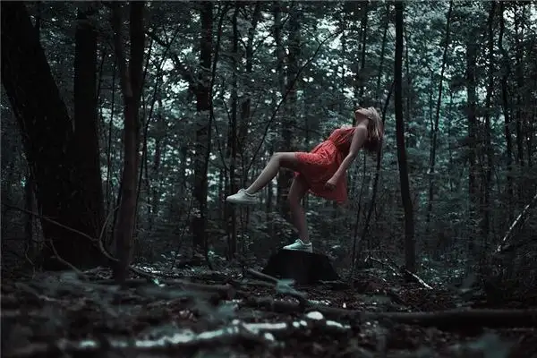 Dream Interpretation Flying Like a Bird Over Mountains and Forests-DreamDecode