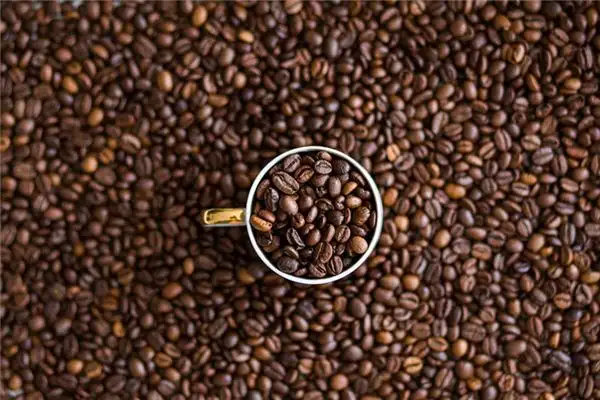 Dream Interpretation of Cocoa Beans in Your Sleep NuvoraDream-DreamDecode