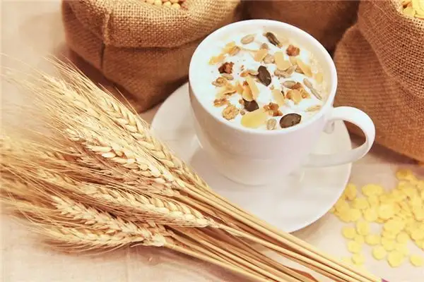 Dreaming of Grains Meaning and Interpretation - NuvoraDream-DreamDecode