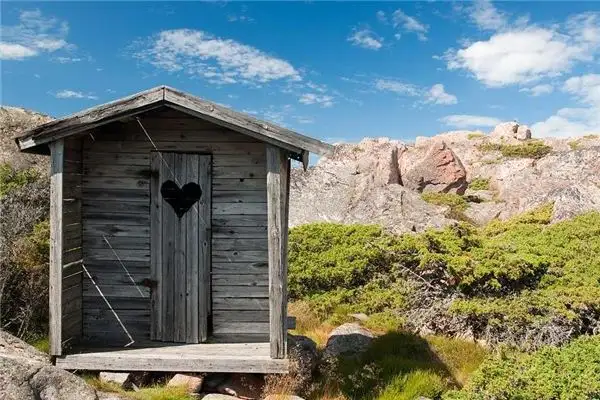 Dream Meaning of Toilet Pit or Manure Pool - Nuvora Dream Interpretation
