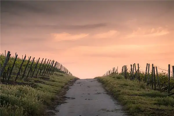 Dream Interpretation of Roads in Your Sleep NuvoraDream-DreamDecode
