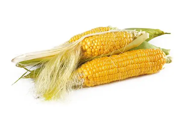 Dream of Corn Meaning and Interpretation - NuvoraDream-DreamDecode