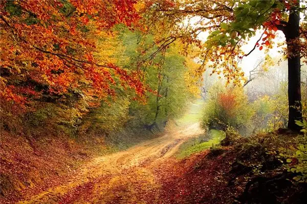 Dreaming of November Meaning and Interpretation - NuvoraDream-DreamDecode