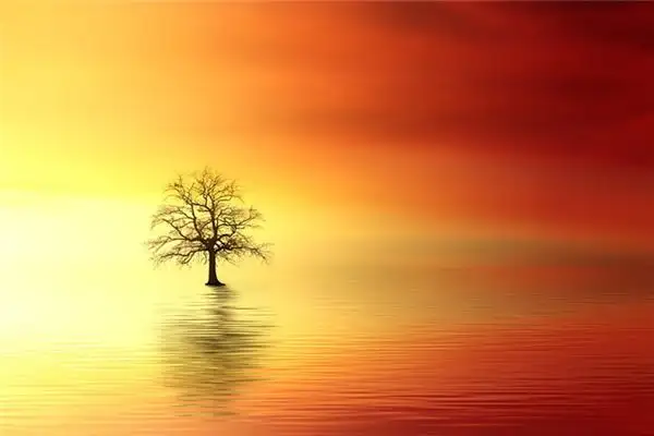 Dream Interpretation of Seeing a Lake in Your Dream NuvoraDream - DreamDecode-DreamDecode