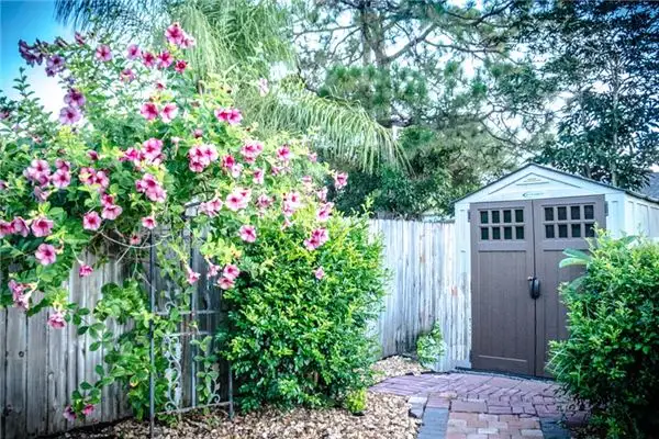 Dream Interpretation of Flower Greenhouse at NuvoraDream - DreamDecode-DreamDecode