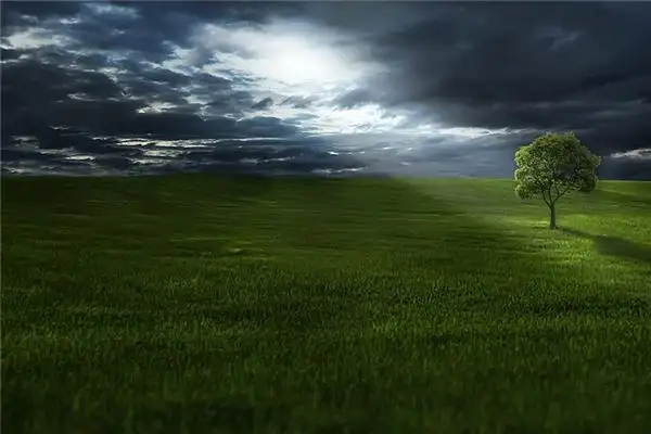 Dream of Grass Meaning Interpretation at NuvoraDream - DreamDecode-DreamDecode