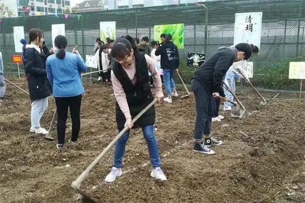 Dream Interpretation of Digging and Loosening Soil - NuvoraDream - DreamDecode-DreamDecode
