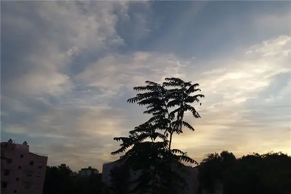 Dream Interpretation of Wind in Your Dreams - NuvoraDream-DreamDecode