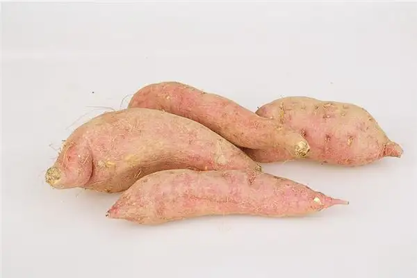 Dream Interpretation of Sweet Potatoes - NuvoraDream-DreamDecode