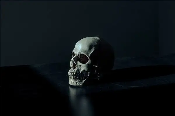 Dream Interpretation of Bones in Your Sleep NuvoraDream