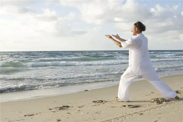 Dream Interpretation of Horse Stance Meaning-DreamDecode