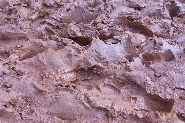 Dreaming of Mud Meaning and Interpretation - NuvoraDream - DreamDecode-DreamDecode