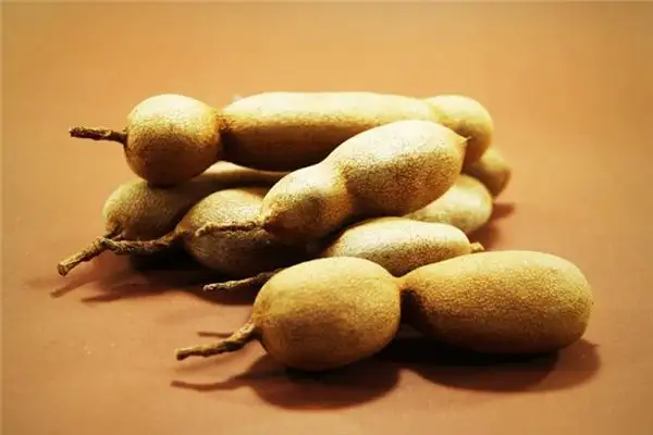 Dreaming of Tamarind Meaning and Interpretation - NuvoraDream - DreamDecode-DreamDecode