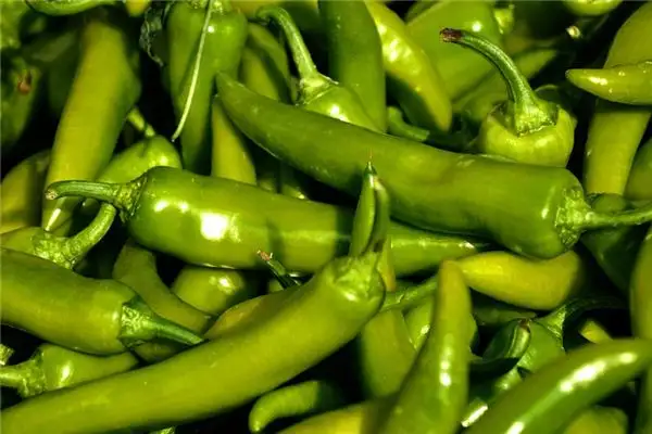 Dream of Green Peppers Meaning and Interpretation - NuvoraDream - DreamDecode-DreamDecode