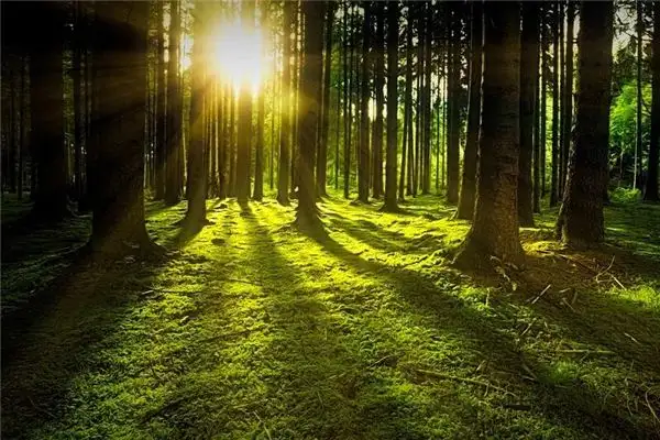 Dream of Light Meaning and Interpretation - NuvoraDream - DreamDecode-DreamDecode