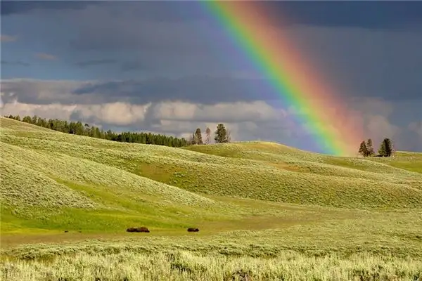 Dreaming of a Rainbow Meaning and Interpretation - NuvoraDream - DreamDecode-DreamDecode