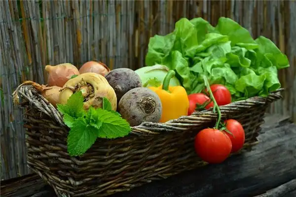 Dream Interpretation of Vegetables - NuvoraDream - DreamDecode-DreamDecode