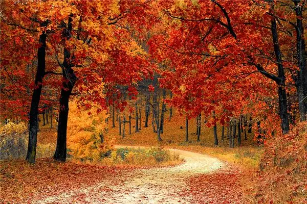 Dreaming of Autumn Meaning and Interpretation - NuvoraDream - DreamDecode-DreamDecode