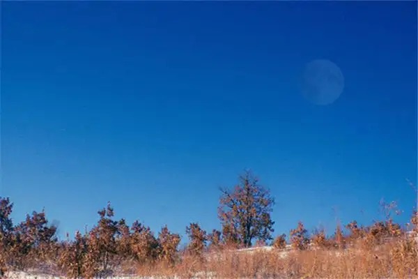 Dreaming of the Moon During the Day Meaning and Interpretation - DreamDecode-DreamDecode