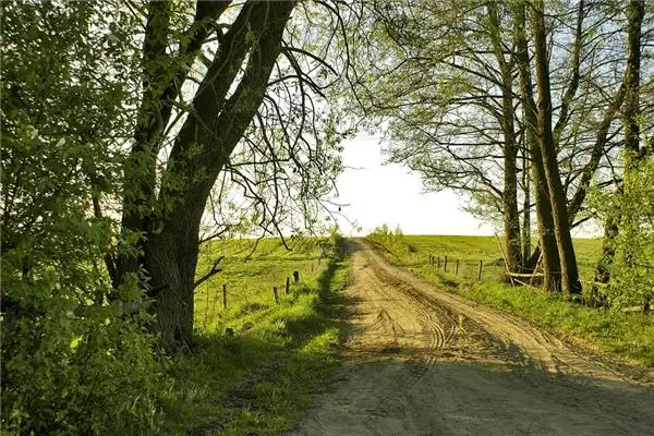 Dreaming of Paths and Trails Meaning Interpretation - NuvoraDream - DreamDecode-DreamDecode