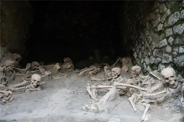Dream Interpretation of Seeing a Human Skull in Your Sleep - NuvoraDream-DreamDecode