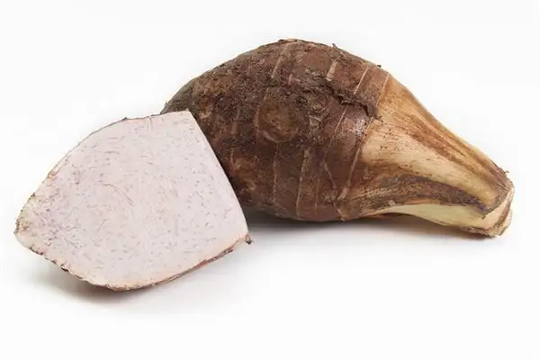 Dream of Taro Meaning and Interpretation - NuvoraDream - DreamDecode-DreamDecode