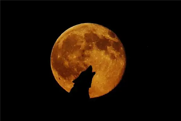 Dream Interpretation of Hearing Screams in Your Sleep Nuvoradream - DreamDecode-DreamDecode