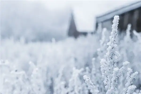 Dream of Snow and Ice Meaning - NuvoraDream - DreamDecode-DreamDecode