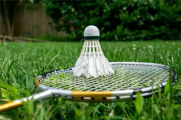 Dreaming of Playing Badminton Meaning and Interpretation - NuvoraDream