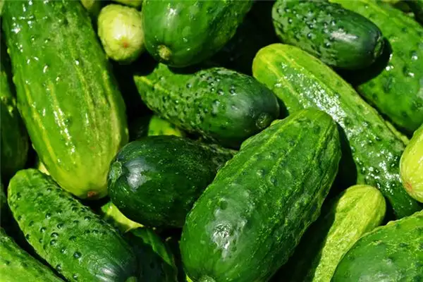 Dream Interpretation of Picking Cucumbers - NuvoraDream