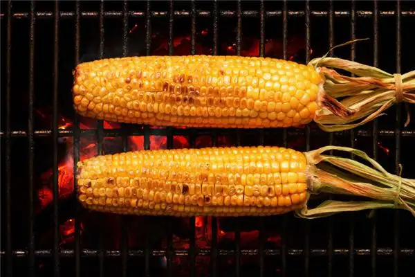 Dream of Corn Meaning and Interpretation - NuvoraDream