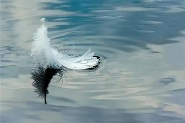Dream Interpretation Floating in Water Meaning - NuvoraDream