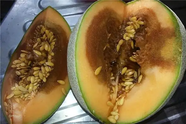 Dreaming of Rotten Melons Meaning and Interpretation - NuvoraDream-DreamDecode