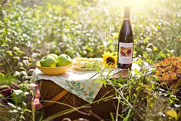 Dream Picnic Meaning and Interpretation - NuvoraDream