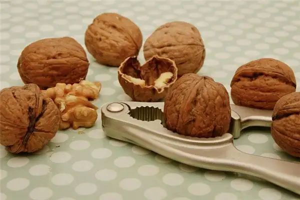 Dream of Walnuts Meaning and Interpretation - NuvoraDream-DreamDecode