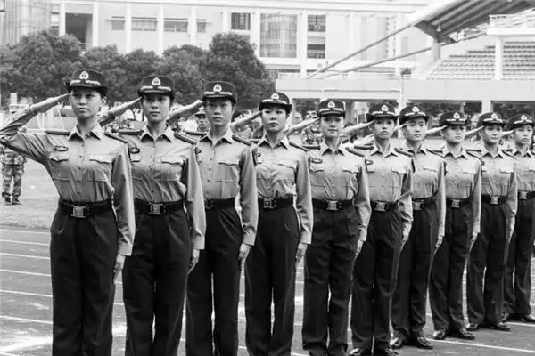 Dream Interpretation of Military Formation in Dreams-DreamDecode