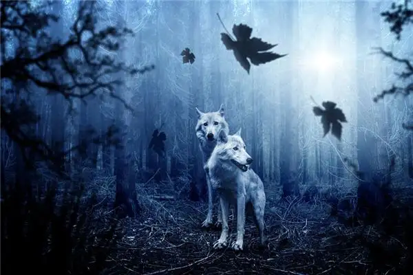 Dream Interpretation Beating a Wolf Meaning at NuvoraDream