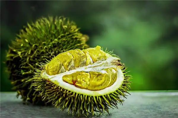 Dream Interpretation of Bad Smell in Sleep - NuvoraDream-DreamDecode