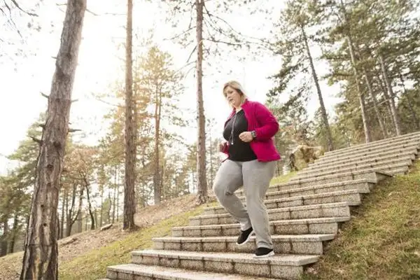 Dream Interpretation of Stairs and Steps NuvoraDream-DreamDecode