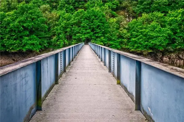 Walking on a Bridge Railing Dream Meaning - NuvoraDream-DreamDecode