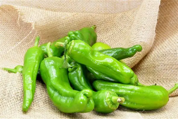 Dream of Green Peppers Meaning and Interpretation - NuvoraDream-DreamDecode