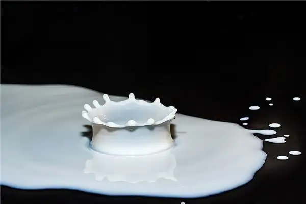 Dreaming of Milking a Cow - Nuvora Dream Interpretation-DreamDecode