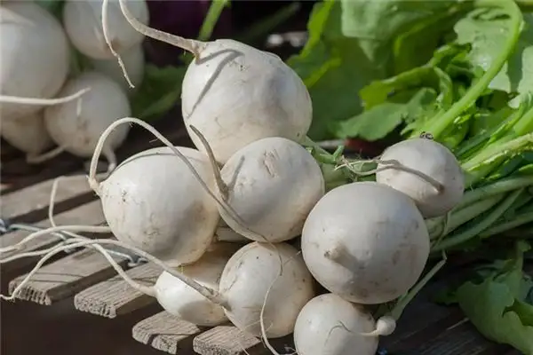 Dream of White Radish Meaning and Interpretation - NuvoraDream-DreamDecode