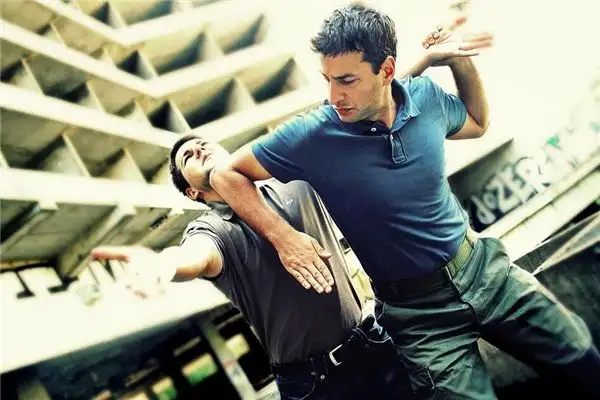 Dream Interpretation Fighting with a Thief NuvoraDream-DreamDecode