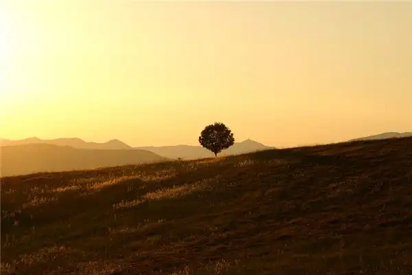 Dream Interpretation of Calmness in Sleep NuvoraDream-DreamDecode