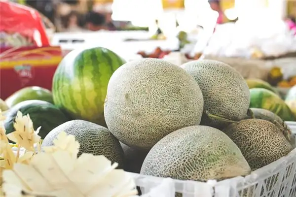 Dream Interpretation of Honeydew Melon in Your Sleep - NuvoraDream-DreamDecode